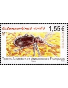 T.A.A.F N° 0856 Neuf **