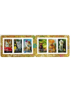Pol carnet N° 723