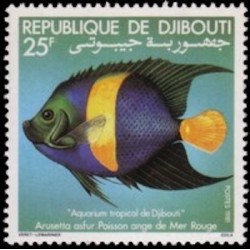 Djibouti N° 0527 Neuf **