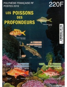 Pol BF N° 050