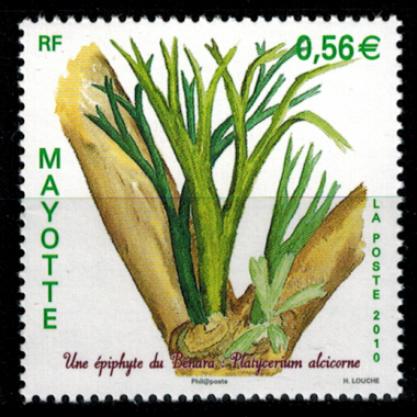 Mayotte N° 236 Neuf **