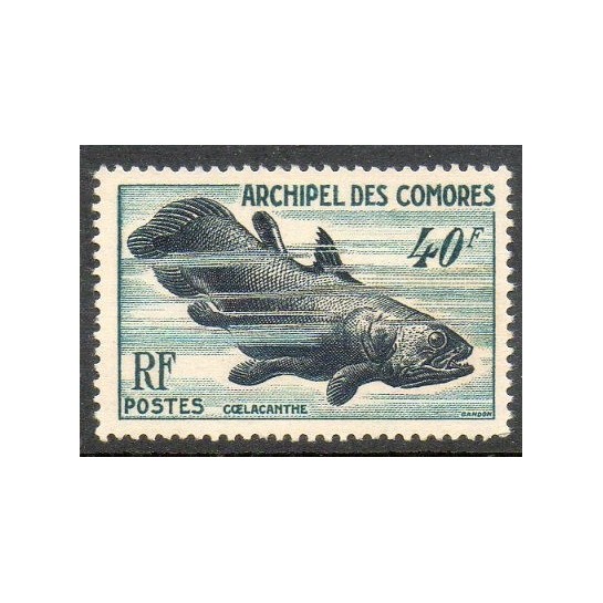 Comores N° 013 N *