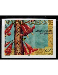 Nouv Cal N° 704 Neuf non dentelé